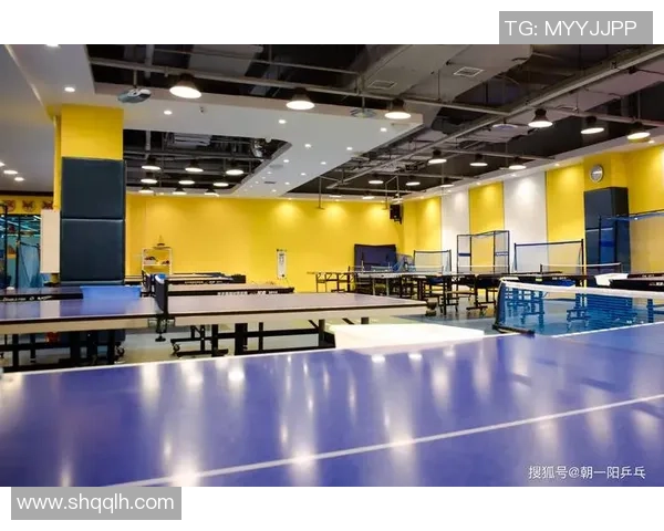 重庆篮球队的节奏革新之路探秘与未来展望